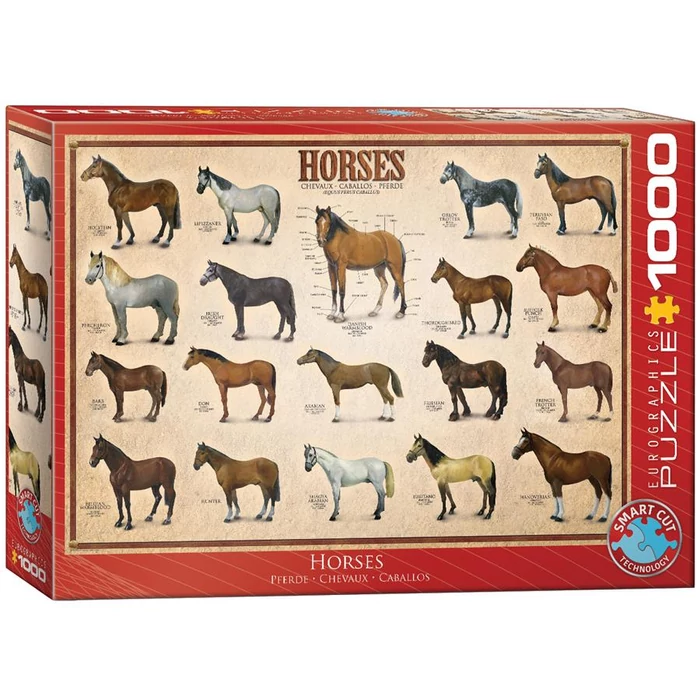 EuroGraphics 6000-0078 - Horses - 1000 db-os puzzle