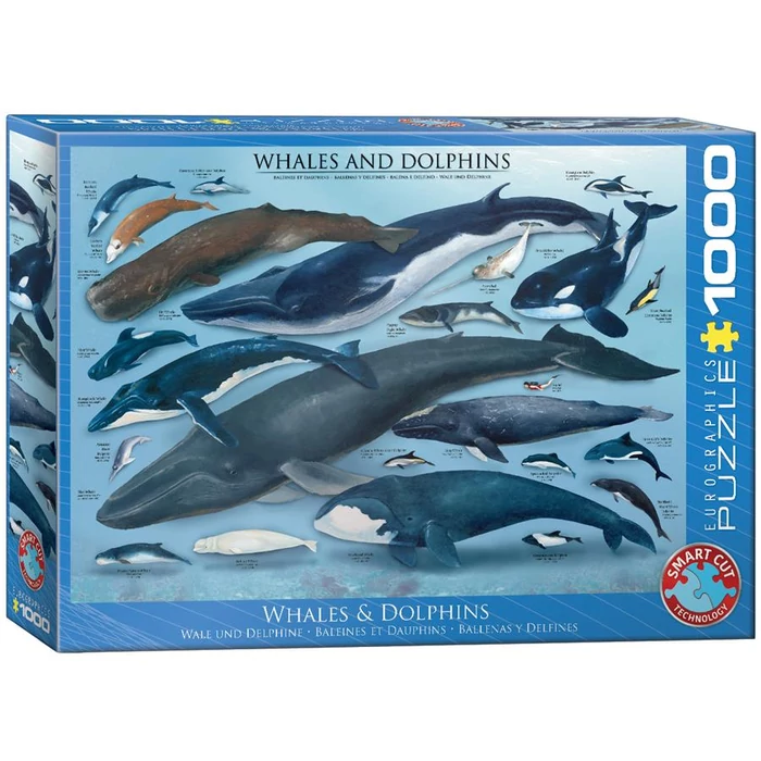 EuroGraphics 6000-0082 - Whales and Dolphins - 1000 db-os puzzle