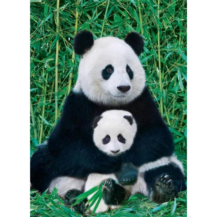 EuroGraphics 6000-0173 - Panda and Baby - 1000 db-os puzzle