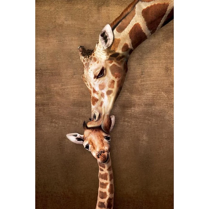 EuroGraphics 6000-0301- Giraffe Mother's Kiss - 1000 db-os puzzle
