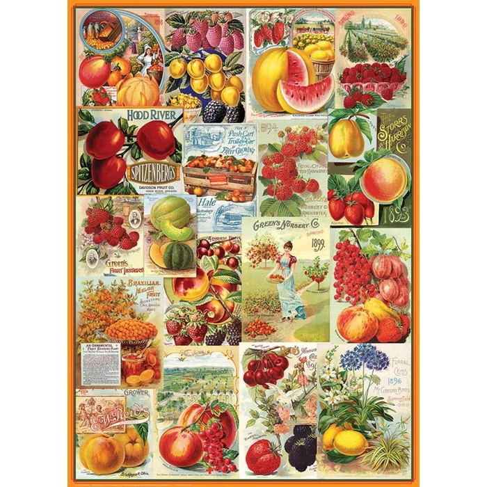 EuroGraphics 6000-0818 - Fruits - 1000 db-os puzzle