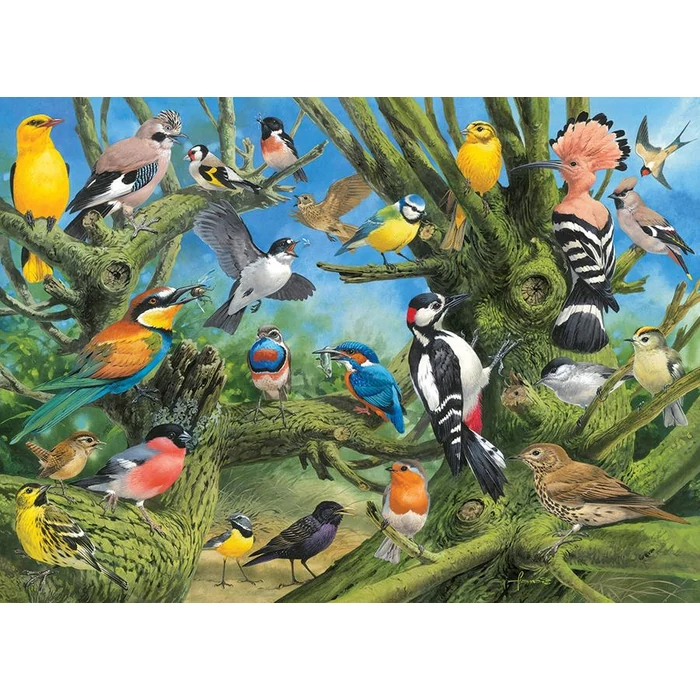 EuroGraphics 6000-0967 - Garden Birds, John Francis - 1000 db-os puzzle