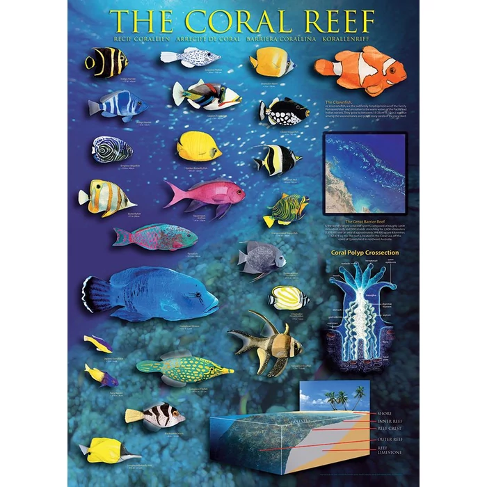 EuroGraphics 6000-1170 - The Coral Reef - 1000 db-os puzzle