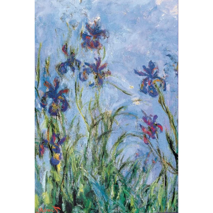 EuroGraphics 6000-2034 - Irises, Monet - Detail - 1000 db-os puzzle
