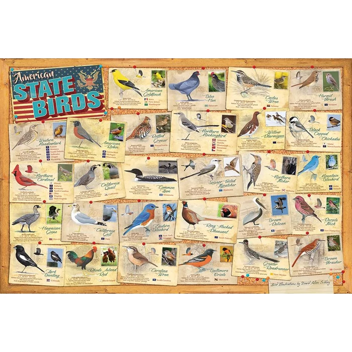 EuroGraphics 6000-5327 - American State Birds - 1000 db-os puzzle