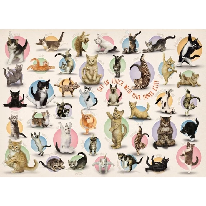 EuroGraphics 8300-0991 - Yoga Kittens - 300 db-os XL puzzle