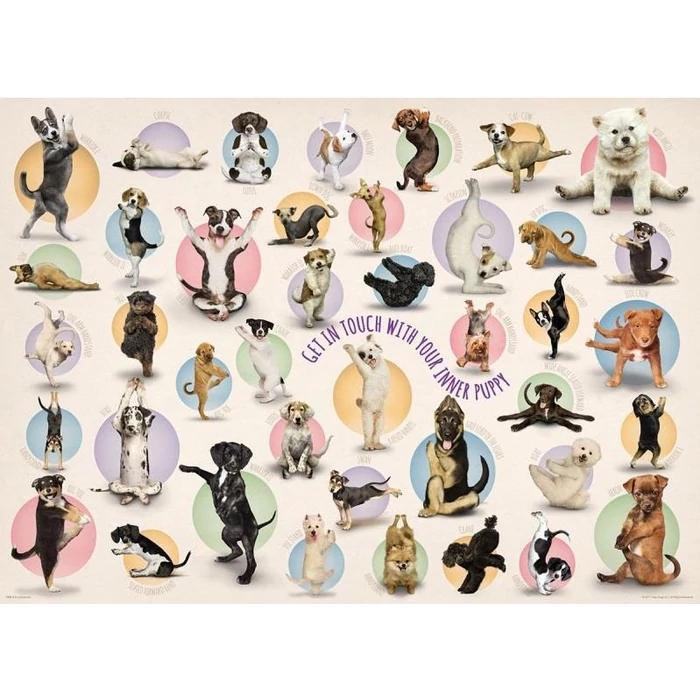 EuroGraphics 8300-0992 - Yoga Puppies - 300 db-os XL puzzle