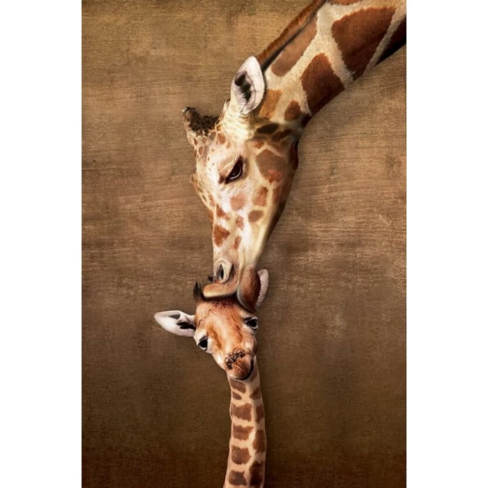 EuroGraphics 6500-0301 - Giraffe Mother's Kiss - 500 db-os puzzle