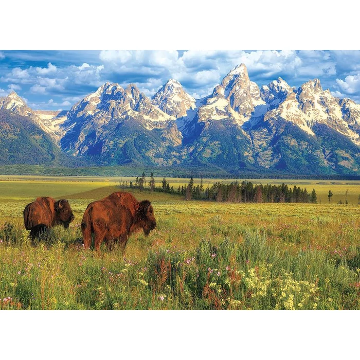EuroGraphics 6000-5474 - Grand Teton National Park - 1000 db-os puzzle