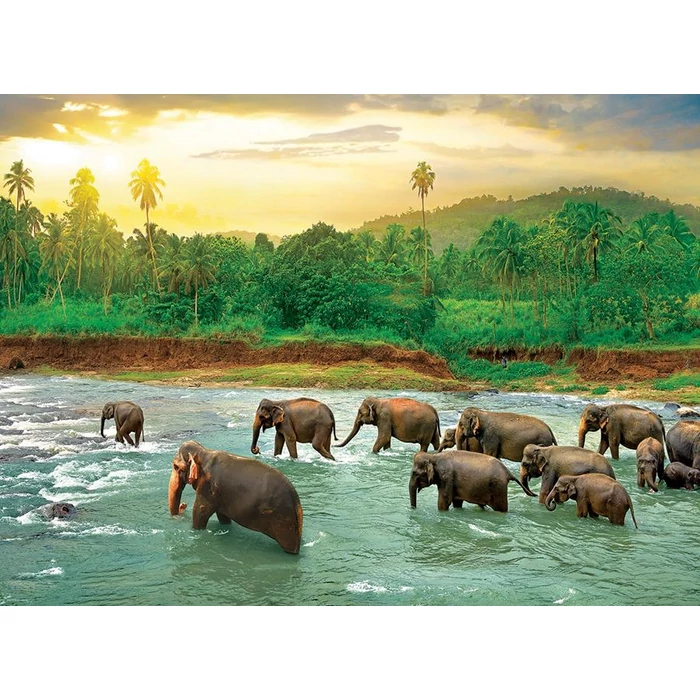 EuroGraphics 6000-5540 - Save the Planet! Animal Kingdom - 1000 db-os puzzle