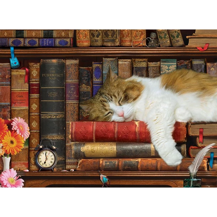 EuroGraphics 6500-5545 - The Cat Nap - 500 db-os puzzle
