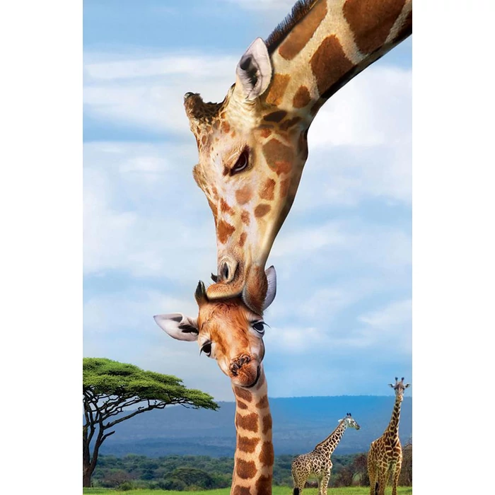 EuroGraphics 8251-0294 - Giraffes - 250 db-os puzzle