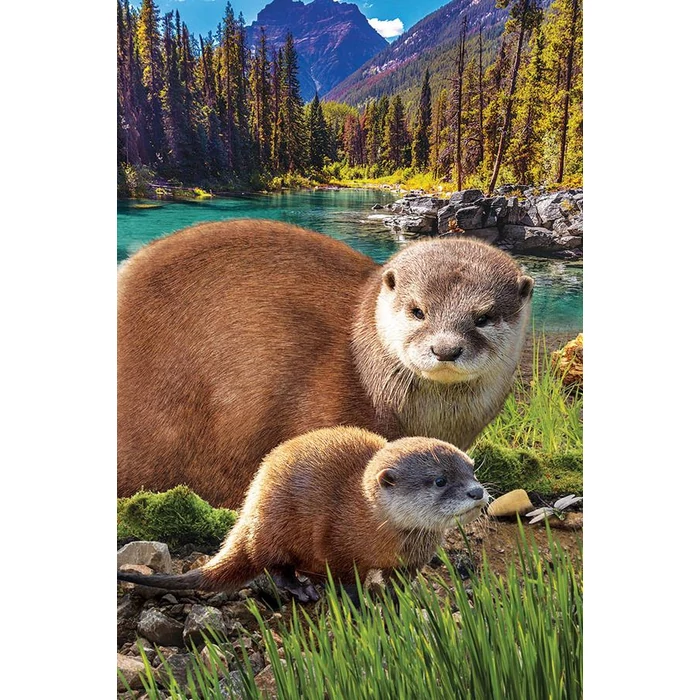 EuroGraphics 8251-5558 - Otters - 250 db-os puzzle