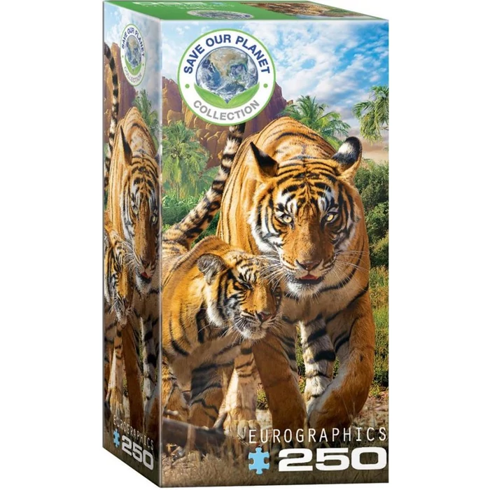EuroGraphics 8251-5559 - Tigers - 250 db-os puzzle