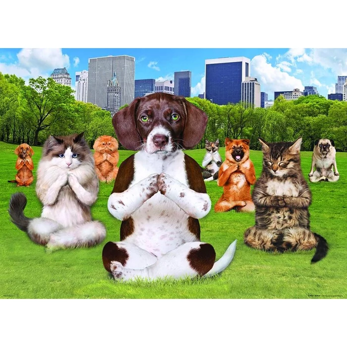 EuroGraphics 8300-5455 - Yoga Park - 300 db-os XL puzzle