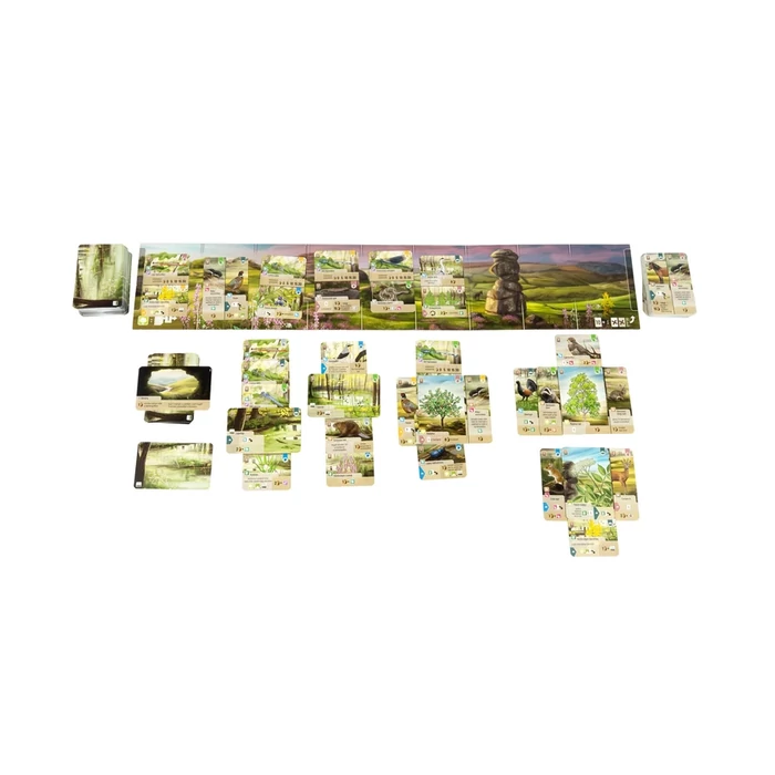 Az erdő - Dartmoor társasjáték (ASM34742)