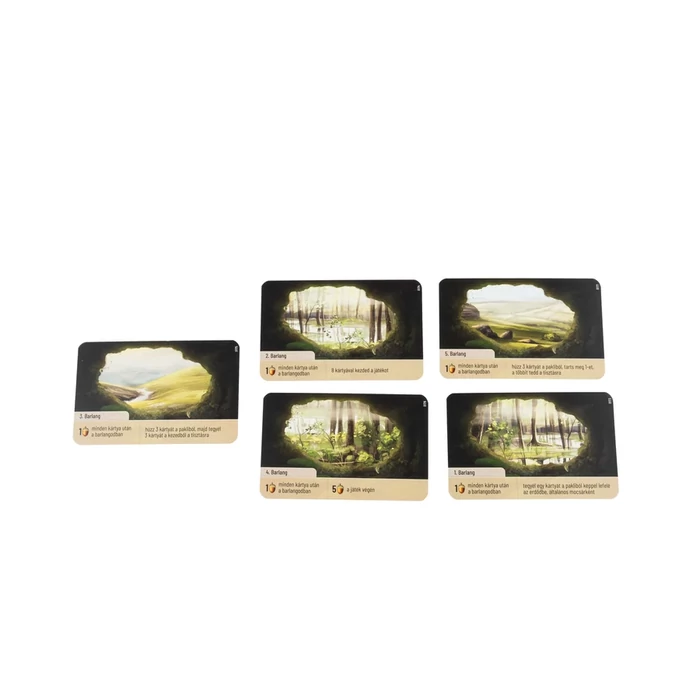 Az erdő - Dartmoor társasjáték (ASM34742)