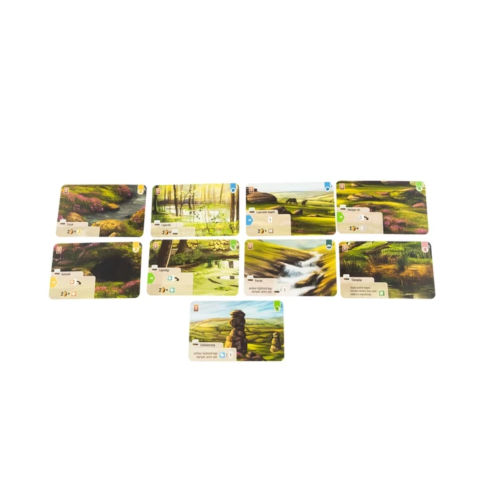 Az erdő - Dartmoor társasjáték (ASM34742)