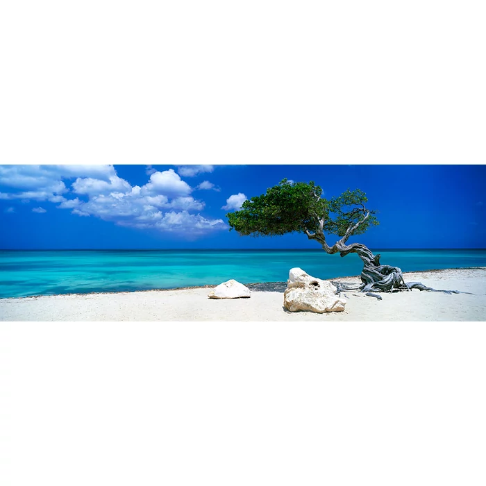 Heye 29399 - Panoráma puzzle - Divi Divi Tree, Edition Humboldt - 1000 db-os puzzle