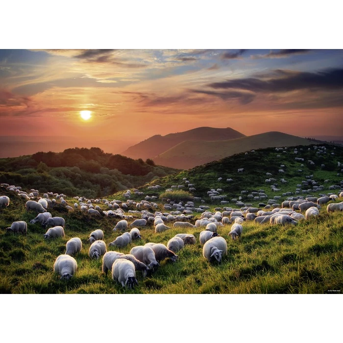 Heye 1000 db-os puzzle - Sheep and Volcanoes (29977)