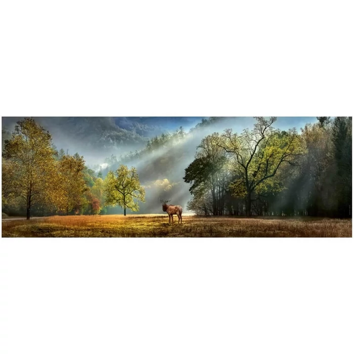 Heye 29947 - Panoráma puzzle - Morning Salute, Edition Humboldt - 1000 db-os puzzle