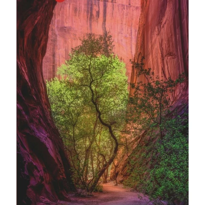 Heye 29944 - Power of Nature - Singing Canyon - 1000 db-os puzzle