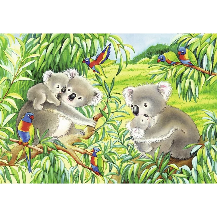 Ravensburger 07820 - Koalák és pandák - 2 x 24 db-os puzzle