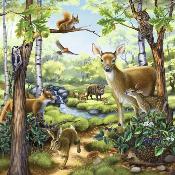 Ravensburger 09265 - Állatok az erdőben, állatkertben és a ház körül - 3 x 49 db-os puzzle