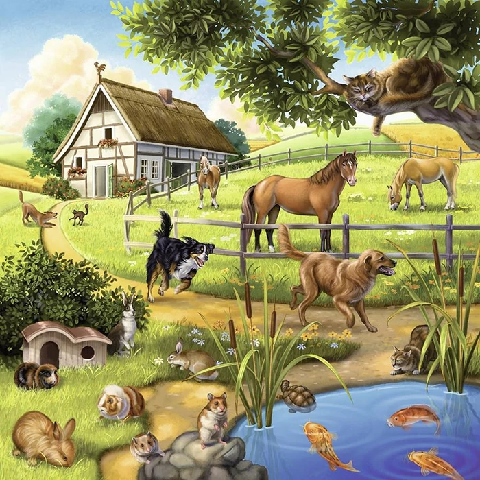 Ravensburger 09265 - Állatok az erdőben, állatkertben és a ház körül - 3 x 49 db-os puzzle