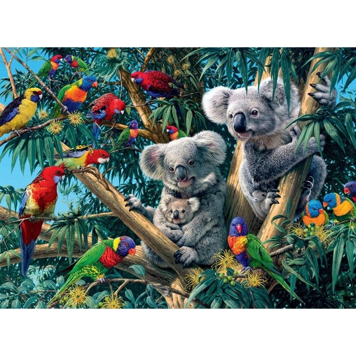 Ravensburger 14826 - Koalák a fán - 500 db-os puzzle