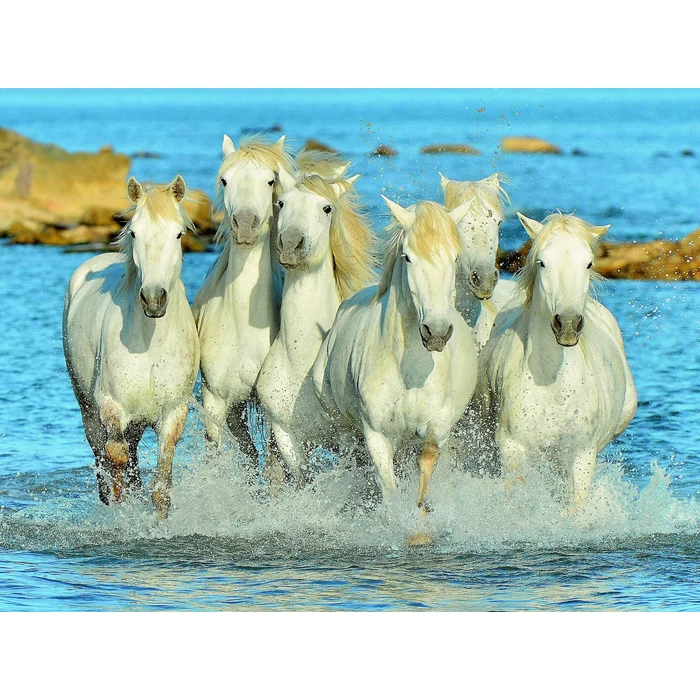 Ravensburger 16285 - Frissítő galopp - 1500 db-os puzzle