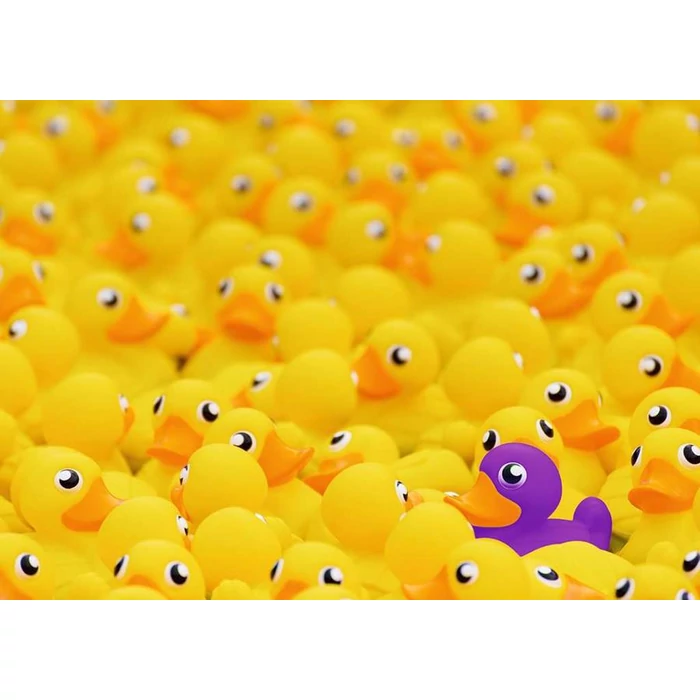 Ravensburger 17097 - Gumikacsák - 1000-db-os Challenge puzzle