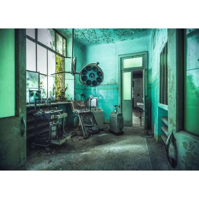 Ravensburger 17098 Lost Places Edition  - Őrültek háza - 1000 db-os puzzle