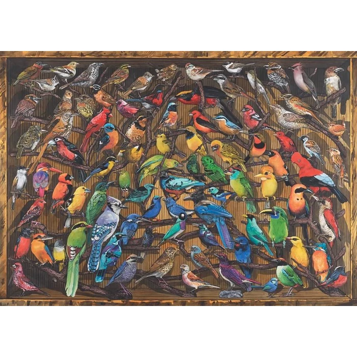 Ravensburger 17478 - Rainbow of Birds - 1000 db-os puzzle