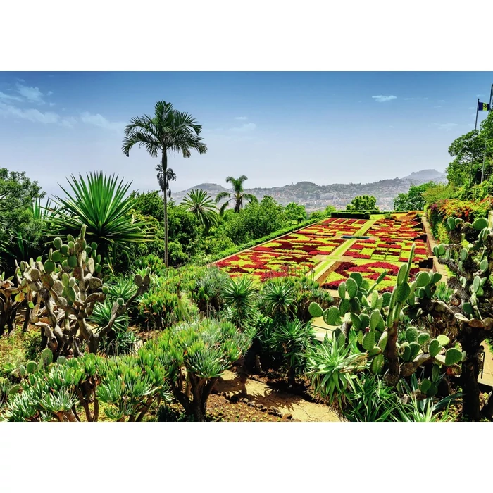 Ravensburger 12000853 - Beautiful Gardens - Botanical Gardens Madeira - 1000 db-os puzzle