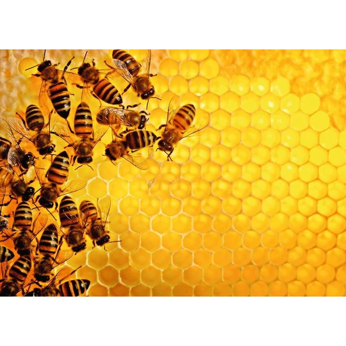 Ravensburger 12000614 - Challenge - Bees - 1000 db-os puzzle