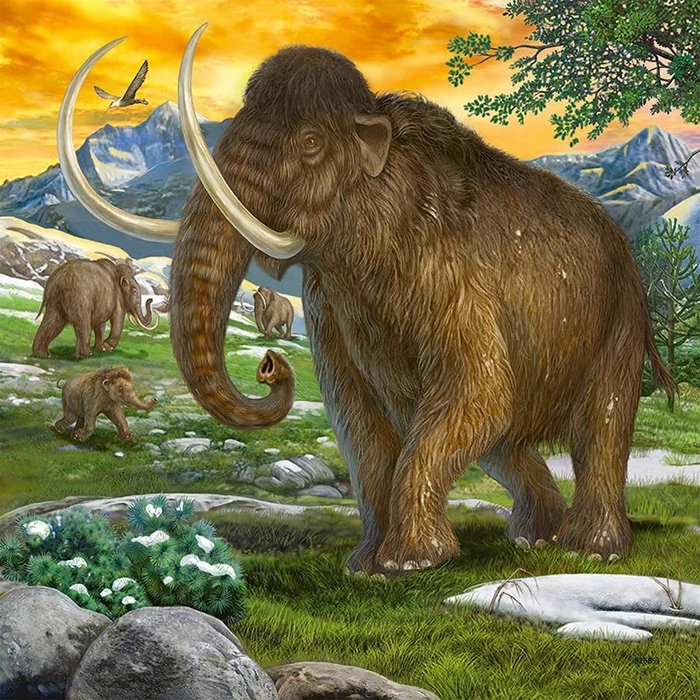 Ravensburger 09358 - Állatok a dínók korából - 3 x 49 db-os puzzle