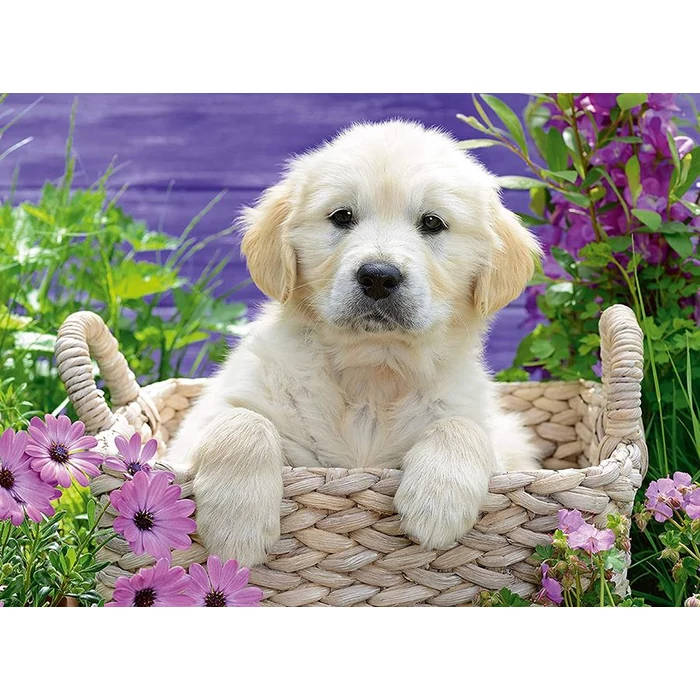 Ravensburger 14829 - Golden retriever - 500 db-os puzzle
