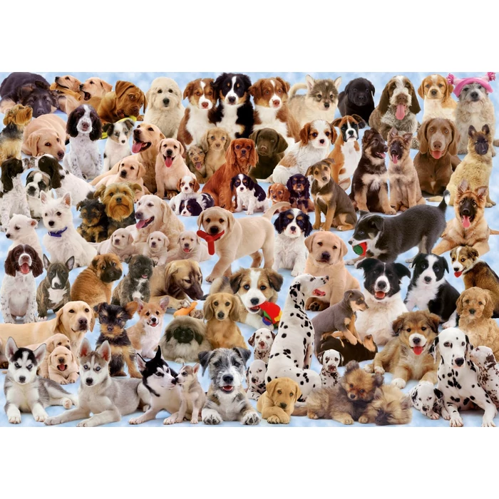 Ravensburger 15633 - Kutya kollázs - 1000 db-os puzzle