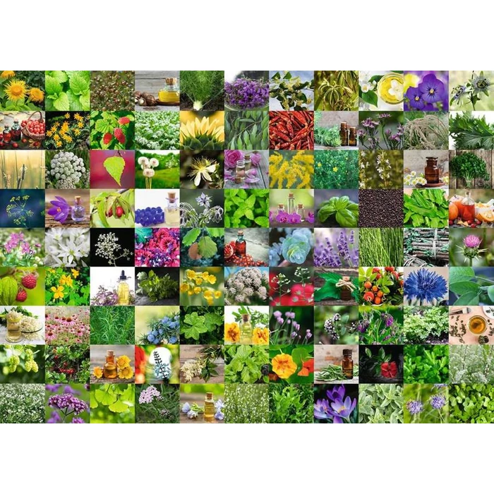 Ravensburger 15991 - 99 gyógy- és fűszernövény - 1000 db-os puzzle