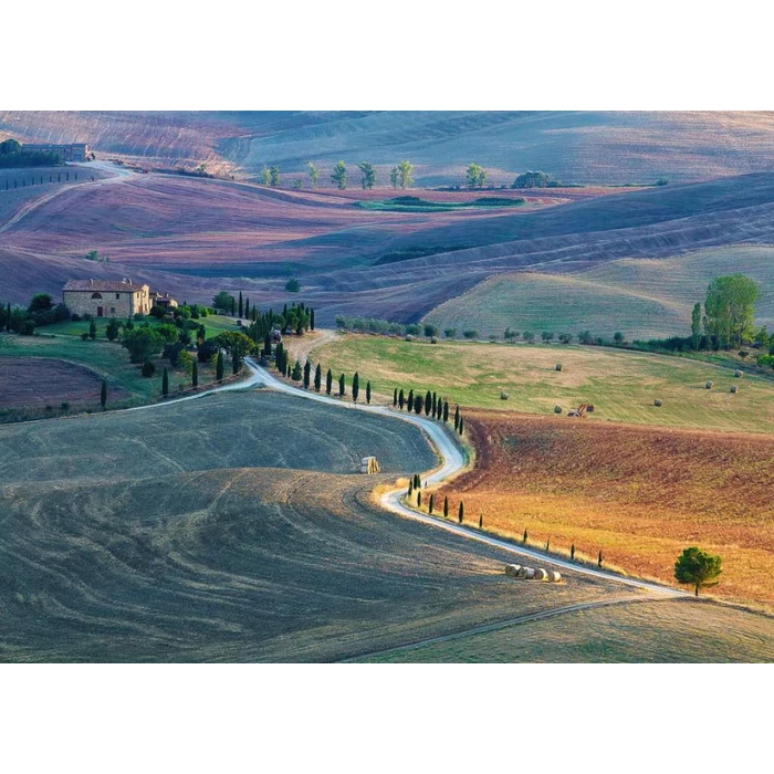Ravensburger 16779 - Talent Collection - Siena, Toscana - 1000 db-os puzzle
