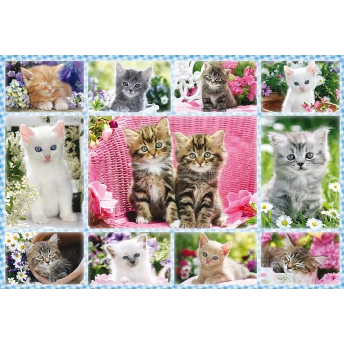 Schmidt 56135 - Kittens - 100 db-os puzzle