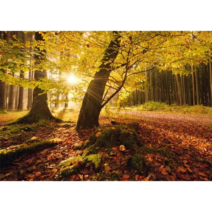 Schmidt 59384 - Autumn Magic, Hefele - 1000 db-os puzzle