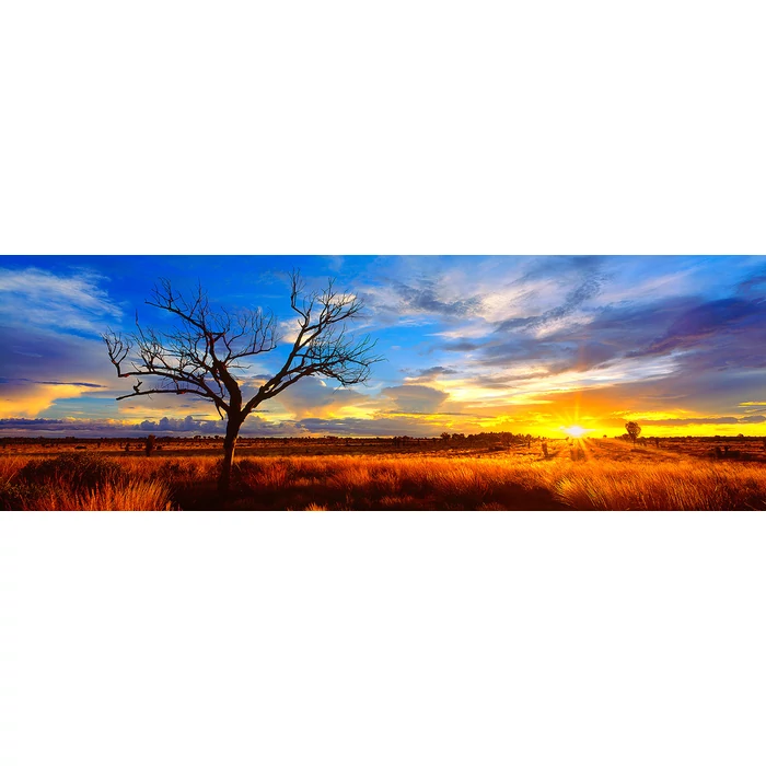 Schmidt 59865 - Panoráma puzzle - Desert Oak at Sunset, Australia, Mark Gray - 1000 db-os puzzle