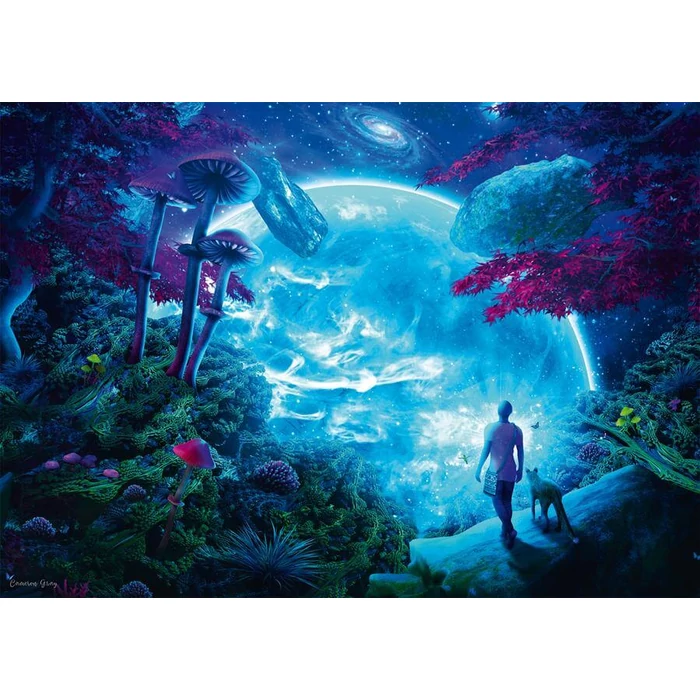 Schmidt 58525 - Sky Fantasy, Cameron Gray - 1000 db-os puzzle