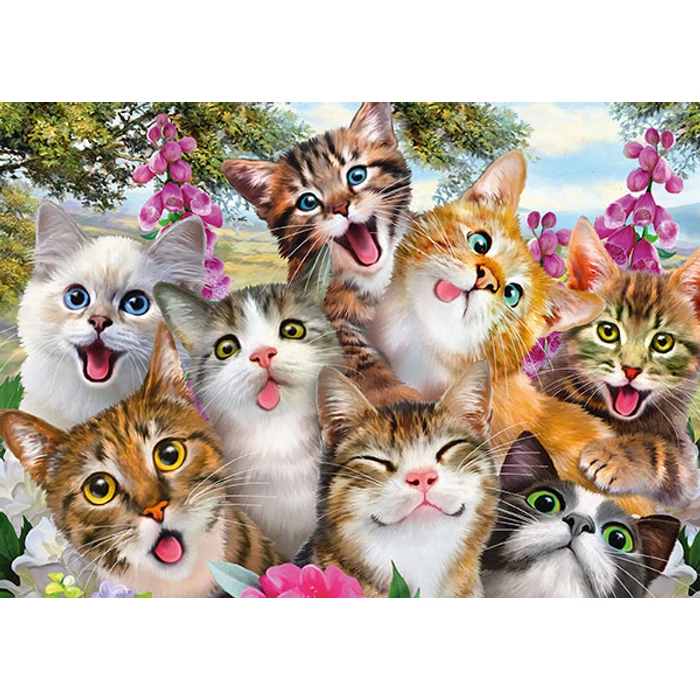 Schmidt 58391 - Cat Selfie - 500 db-os puzzle