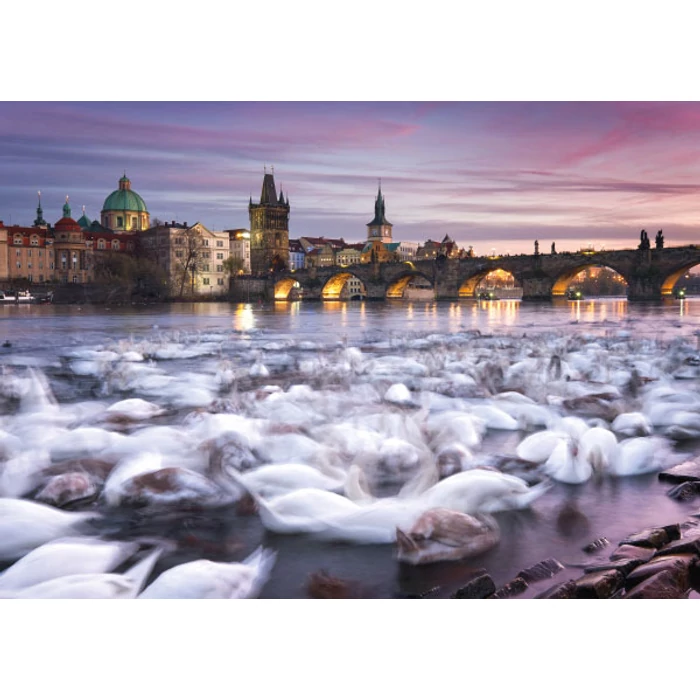 Schmidt 59695- Christian Ringer - Prague Swans - 1000 db-os
