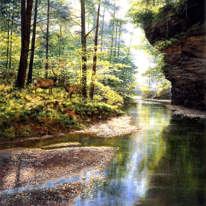 SunsOut 44720 - Quiet Forest - 1000 db-os puzzle