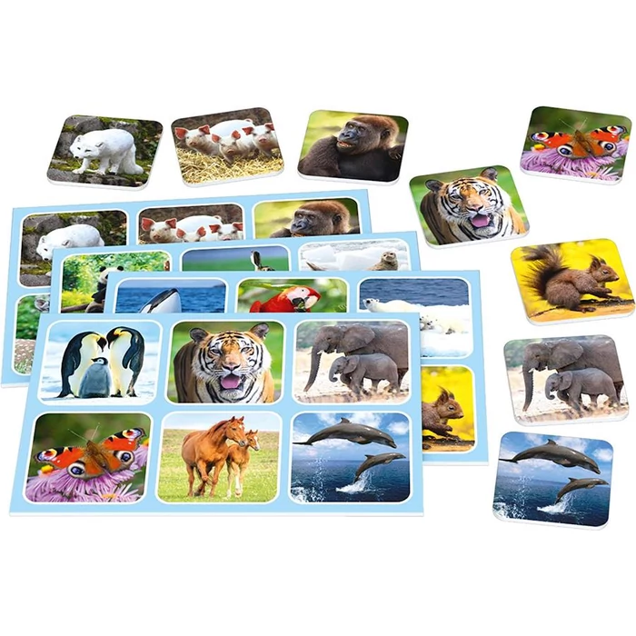 Schmidt - Zoo Lotto társasjáték fémdobozban