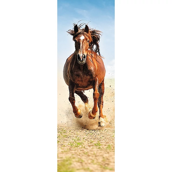 Trefl 75004 - Home Gallery - Patadobogás - 300 db-os puzzle 